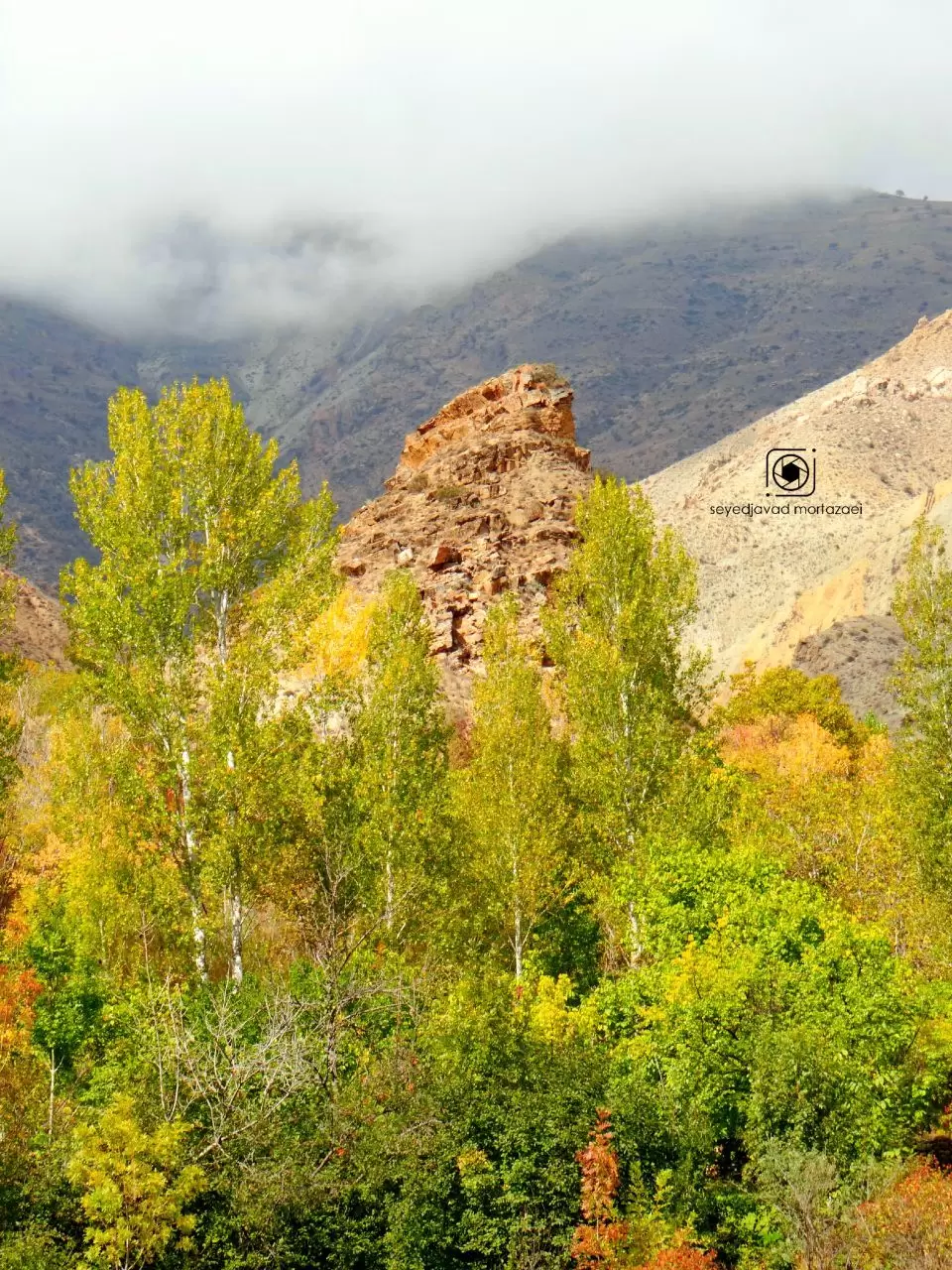 عکسی زیبا از طبیعت پاییزی روستای ارزیل بخش خاروانا شهرستان ورزقان / عکس از سید حواد مرتضایی