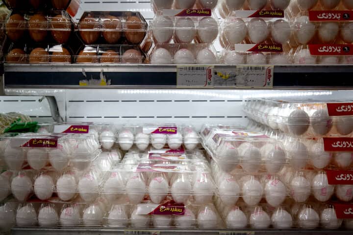  قیمت مصوب تخم‌مرغ اعلام شد؛ شانه ۱.۹ کیلویی ۷۶ هزار تومان