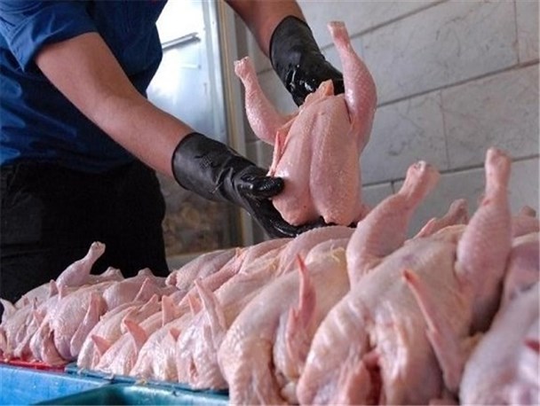  قیمت مرغ در بازار 31 خرداد 1401 / قیمت مرغ افزایش یافت 